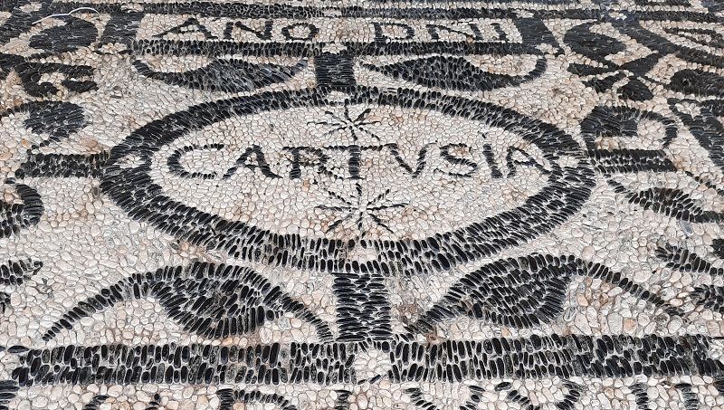 risseu di Certosa in bianco e nero e scritta "cartusia"